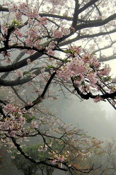 Whimsical Charm Verdant Blossom Mix