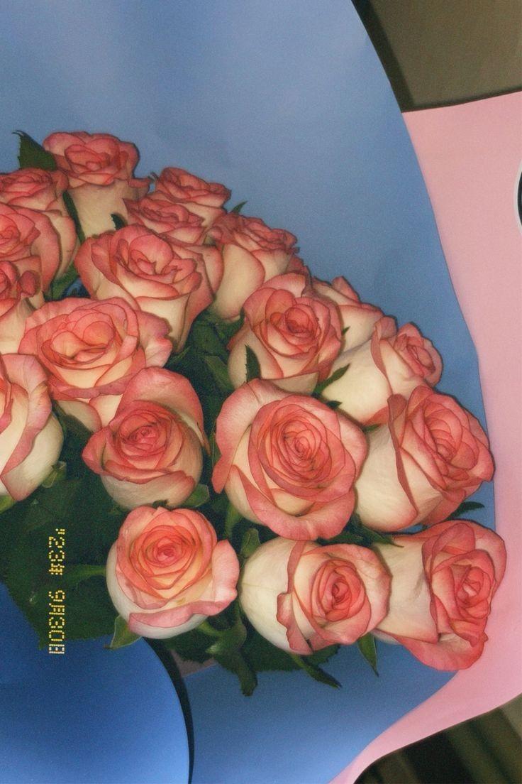 Dawn's Gentle Embrace Floral Array